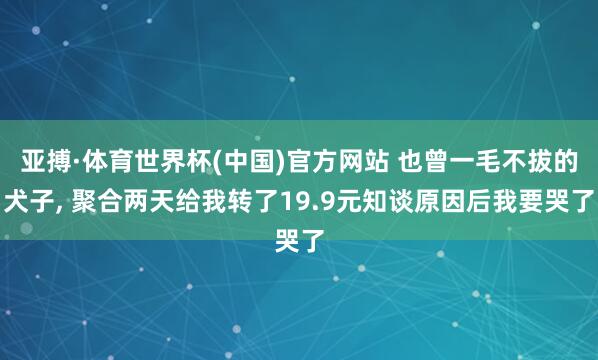 亚搏·体育世界杯(中国)官方网站 也曾一毛不拔的犬子, 聚合两天给我转了19.9元知谈原因后我要哭了