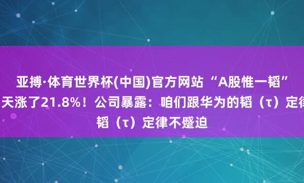 亚搏·体育世界杯(中国)官方网站 “A股惟一韬”，股价3天涨了21.8%！公司暴露：咱们跟华为的韬（τ）定律不蹙迫