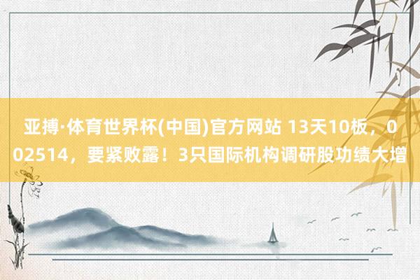 亚搏·体育世界杯(中国)官方网站 13天10板，002514，要紧败露！3只国际机构调研股功绩大增