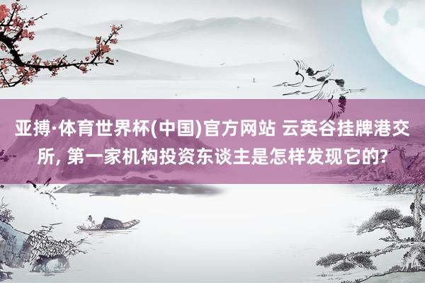 亚搏·体育世界杯(中国)官方网站 云英谷挂牌港交所, 第一家机构投资东谈主是怎样发现它的?