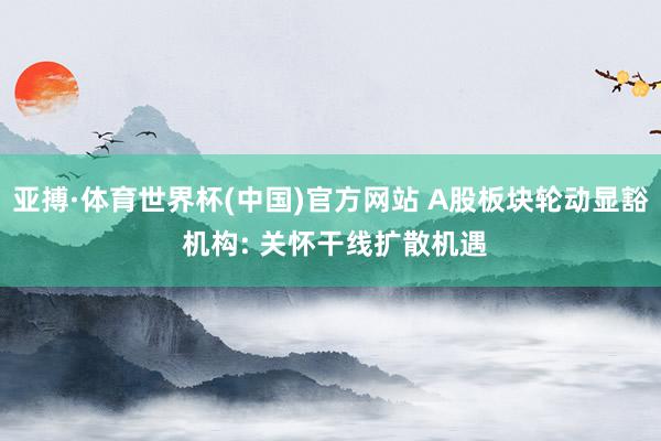 亚搏·体育世界杯(中国)官方网站 A股板块轮动显豁 机构: 关怀干线扩散机遇