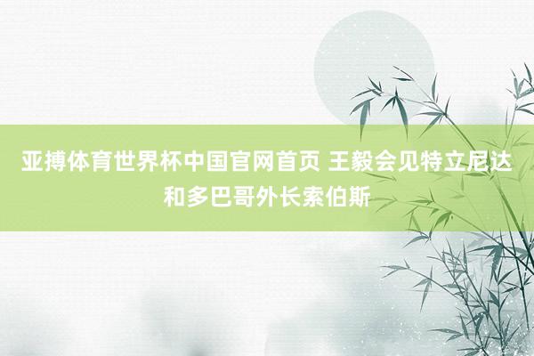 亚搏体育世界杯中国官网首页 王毅会见特立尼达和多巴哥外长索伯斯