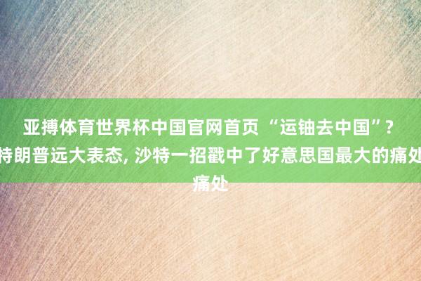 亚搏体育世界杯中国官网首页 “运铀去中国”? 特朗普远大表态, 沙特一招戳中了好意思国最大的痛处