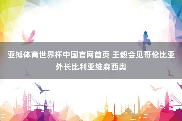 亚搏体育世界杯中国官网首页 王毅会见哥伦比亚外长比利亚维森西奥