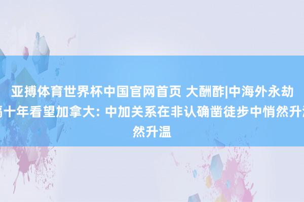 亚搏体育世界杯中国官网首页 大酬酢|中海外永劫隔十年看望加拿大: 中加关系在非认确凿徒步中悄然升温