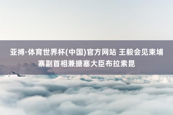 亚搏·体育世界杯(中国)官方网站 王毅会见柬埔寨副首相兼搪塞大臣布拉索昆