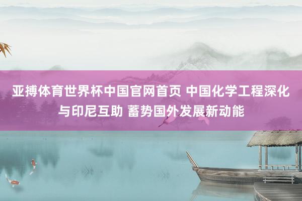 亚搏体育世界杯中国官网首页 中国化学工程深化与印尼互助 蓄势国外发展新动能