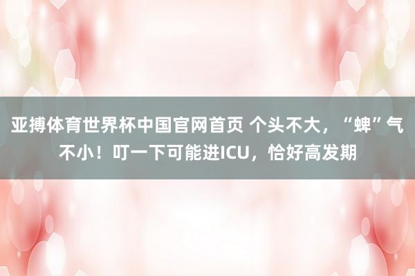 亚搏体育世界杯中国官网首页 个头不大，“蜱”气不小！叮一下可能进ICU，恰好高发期