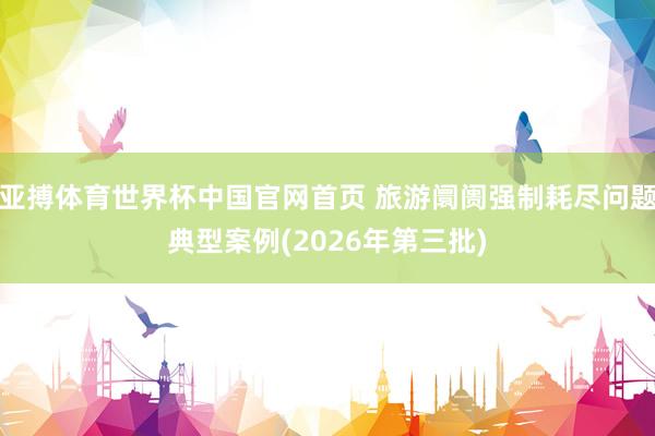 亚搏体育世界杯中国官网首页 旅游阛阓强制耗尽问题典型案例(2026年第三批)