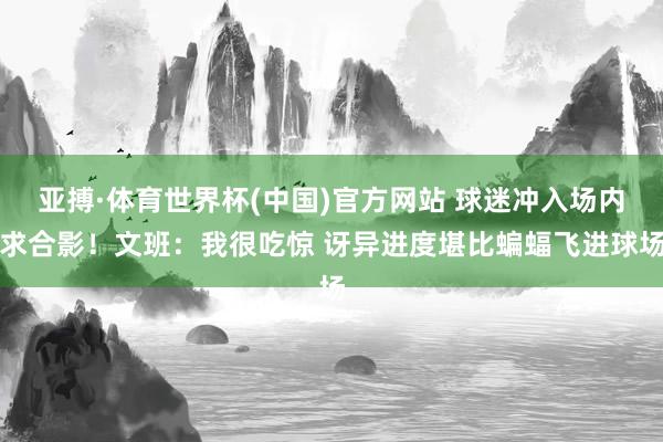 亚搏·体育世界杯(中国)官方网站 球迷冲入场内求合影!文班:我很吃惊 讶异进度堪比蝙蝠飞进球场