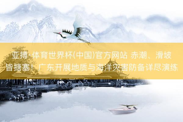 亚搏·体育世界杯(中国)官方网站 赤潮、滑坡皆搪塞!广东开展地质与海洋灾害防备详尽演练