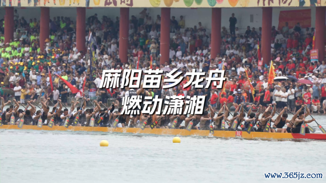看麻阳苗乡龙舟燃动潇湘